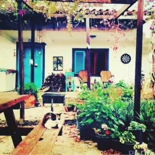 Hostel Memedim Zeynep'S Kıyıkıslacık