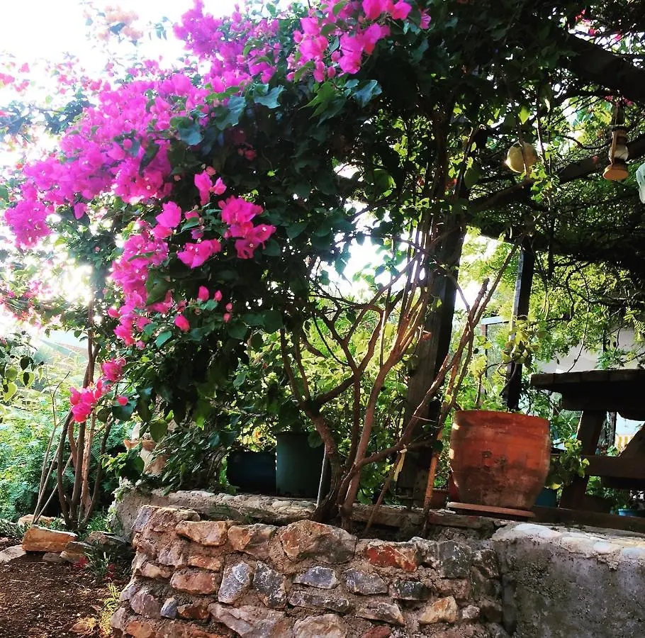 Hostel Memedim Zeynep'S Kıyıkıslacık
